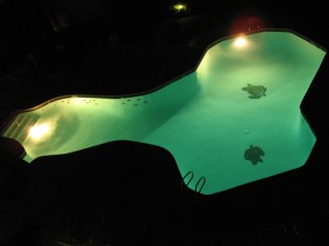 penis-shaped-pool
