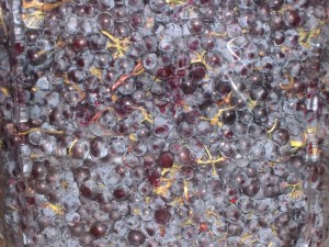 Carbonic Masturbation: Onan meets 0 ²