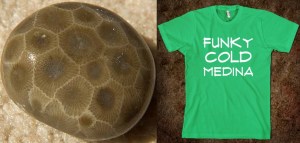 L.: Jeff Neill R.: Dustin Stabile