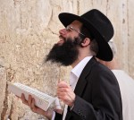 Kassel chanting from 'The Shite Wine Guide'