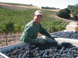 Alex in the vineyard