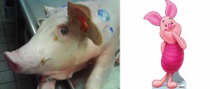 Total Makeover. L.: Before R.: After