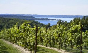 Leelanau in more temperate times.