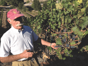 Michael Gill on the hoof