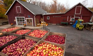 cider mill