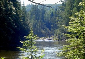 Antrim County.  Odd looking grape country, huh?