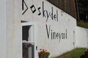 Bernie by the door; an icon.