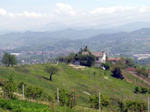 Dolcetto di Ovada