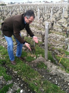 Duroux getting all biodynamicky.