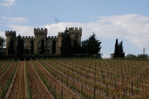 Southern Rhône vineyard