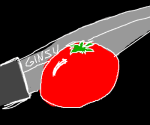 ginsu