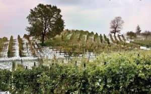 Basking in Lake Effect