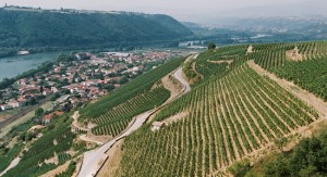 The roasted slopes of Côte-Rôtie