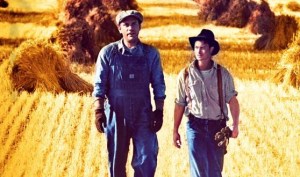 "One more time, George; tell me about the Chardonnay again..."