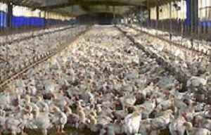 Last year's conference was very, very white.