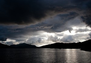 Typical Scottish vinehard