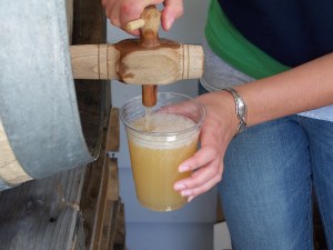 Federweisser. last year