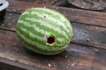 Watermelon-Hole