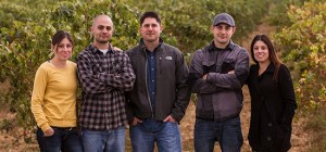 Current crop of Scottos