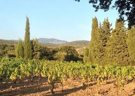 Domaine Les Mille Vignes 