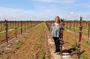 Sue Tipton and her vines