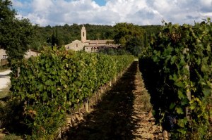  Pieve Santa Restituta